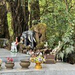 Photo taken by Jill S