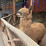 Photo taken by Sheri F