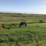 Hestheimar  | Photo taken by Jana P