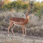 Photo taken by Tom B