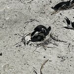 Photo taken by Michael Z