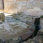 Photo taken by alex p