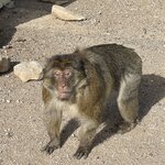 Photo taken by Cynthia F