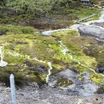 Photo taken by Carine D