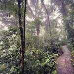 Photo taken by Hannah S