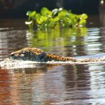 Photo taken by Kelvin V