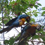 Photo taken by Pat K