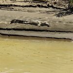 Photo taken by Mordechay T