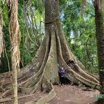 Photo taken by Ciarra N