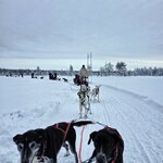 Photo taken by Caitlin P