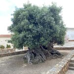 Photo taken by Geoff B