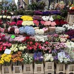 Photo taken by Heather G