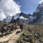 Photo taken by Neil C