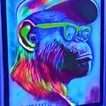 Photo taken by Brett F