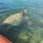 Photo taken by Lisa P