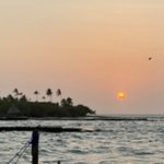 Photo taken by Todd M