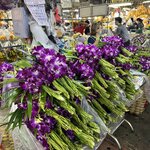 Photo taken by Fuad A