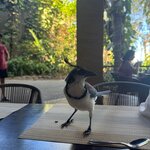 Photo taken by Jim W