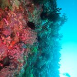 Photo taken by Terry A