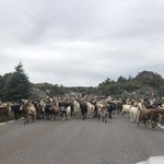 Photo taken by Shawn G