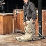 Photo taken by Don P