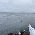 Photo taken by Amy W