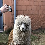 Photo taken by Brenna M