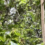 Photo taken by Lauren A