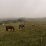 Photo taken by enrique jose g