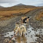 Photo taken by Arundhati G