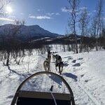 Photo taken by Sharon S