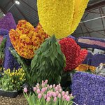 Photo taken by Shannon F