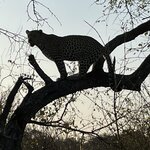 Photo taken by Joanne B