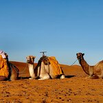 Photo taken by Steph V