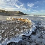 Photo taken by Meredith N