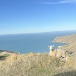 Photo taken by Linda F