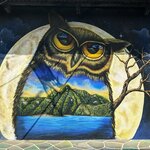 Photo taken by Denise M