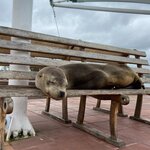 Photo taken by Kayla H