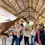 Photo taken by Sarah C