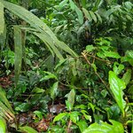 Photo taken by Darla D