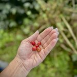 Photo taken by Sophie F