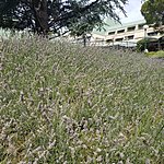 Photo taken by Kim R