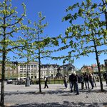 Photo taken by Andrea Y