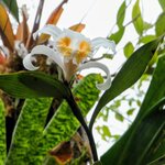 Photo taken by Brett F