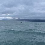 Photo taken by Felicia L