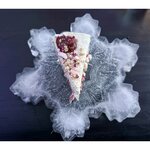 Photo taken by Ann B