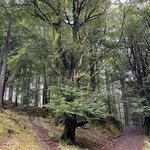 Photo taken by Danielle P