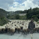 Photo taken by Adria Y