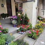 Photo taken by Martha M