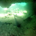 Photo taken by Elise C